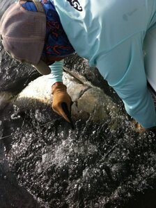 tarpon fishing boca grande