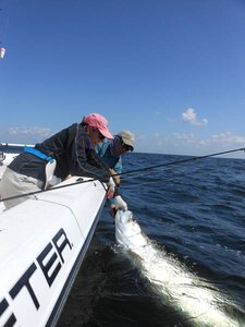 tarpon fishing guide
