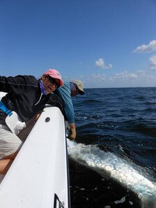 how to fish for tarpon