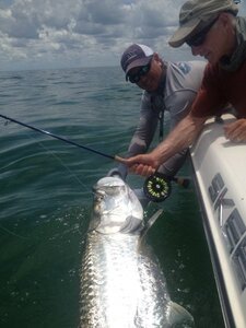 tarpon fishing etiquette