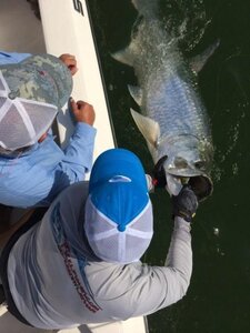 top tarpon fish in boca grande, fl