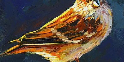 Richell Castellón "Bird 5" 6x6 original acrylic on panel $150. 🔴SOLD