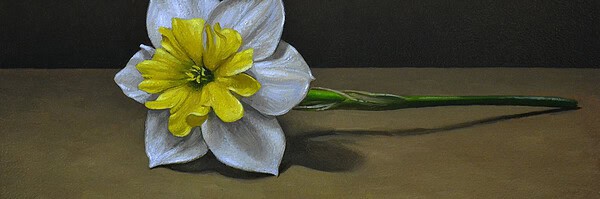 Trish Coonrod "Daffodil" 6x9 oil/ACM INQUIRE