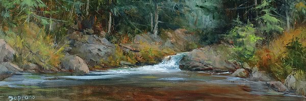 Judy Soprano "Vermont Stream" (Bobbin Falls) 8x16 oil $650. 🔴SOLD