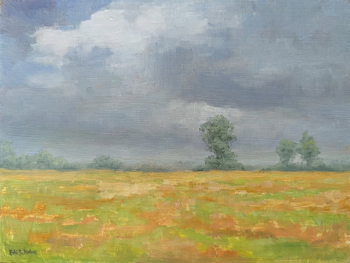 Bibi S. Brion "Summer Rain" 9x12 oil $750.