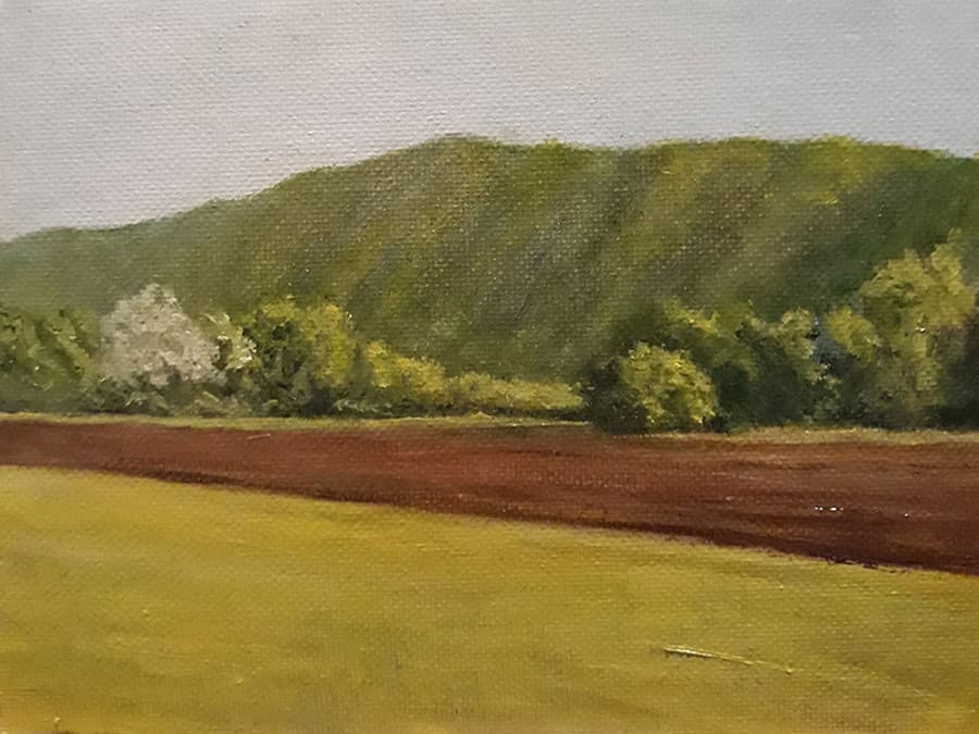 Lin Gardner "After the Rain - Big Flats" 5x7 oil $250. SOLD