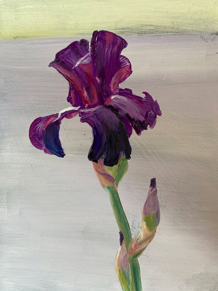Tom Gardner "Purple Iris" 7x5 oil $275. SOLD