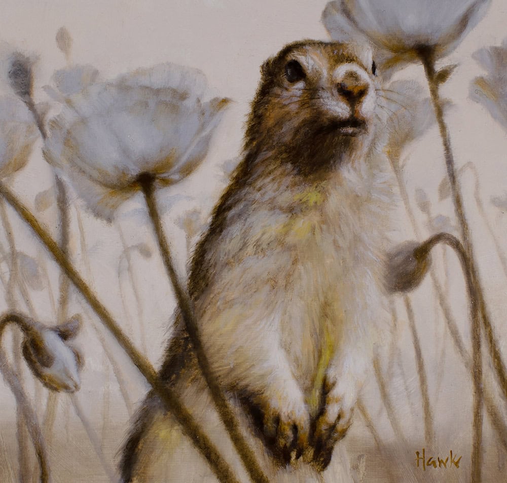 Dana Hawk "Rising Up" 5x5 oil $625. SOLD