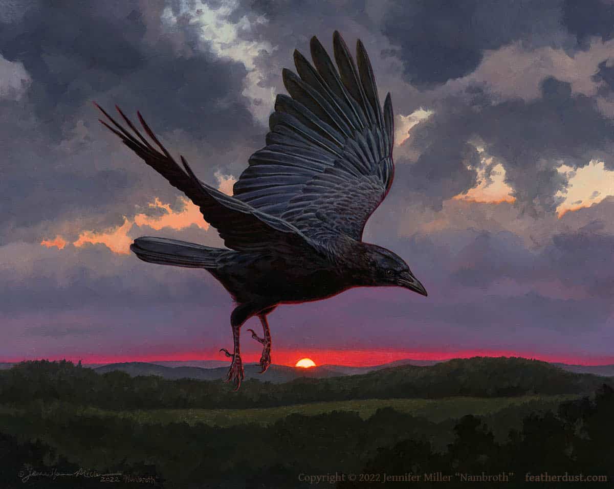 Jennifer Miller "Drawing the Veils of Night" (American Crow) 11x14 oil $1,650. SOLD