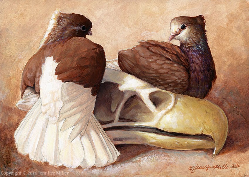 Jennifer Miller "Gryphon with Pigeons" 5x7 acrylic $275. SOLD