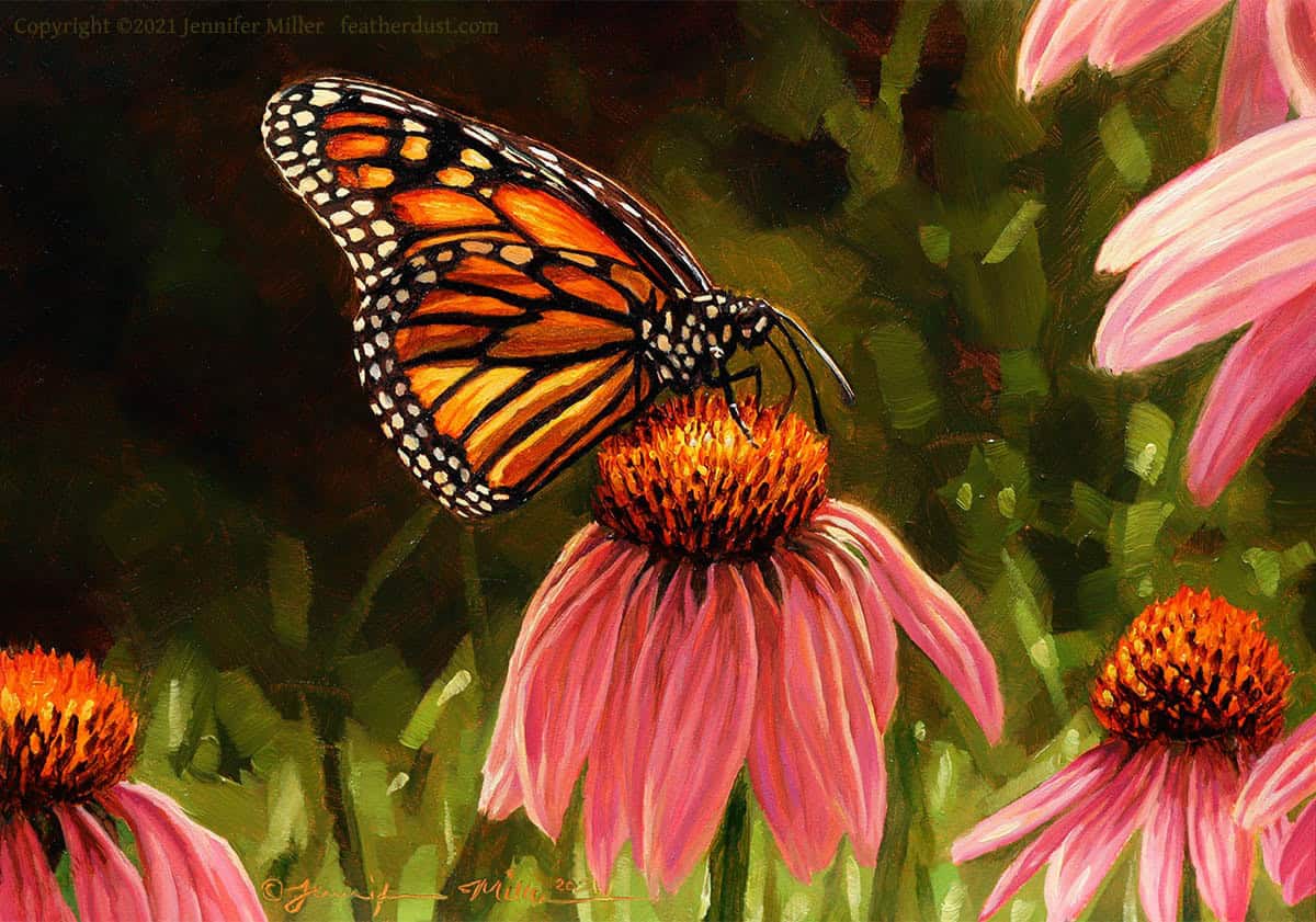 Jennifer Miller "Monarch on Coneflower" 5x7 oil $375. SOLD