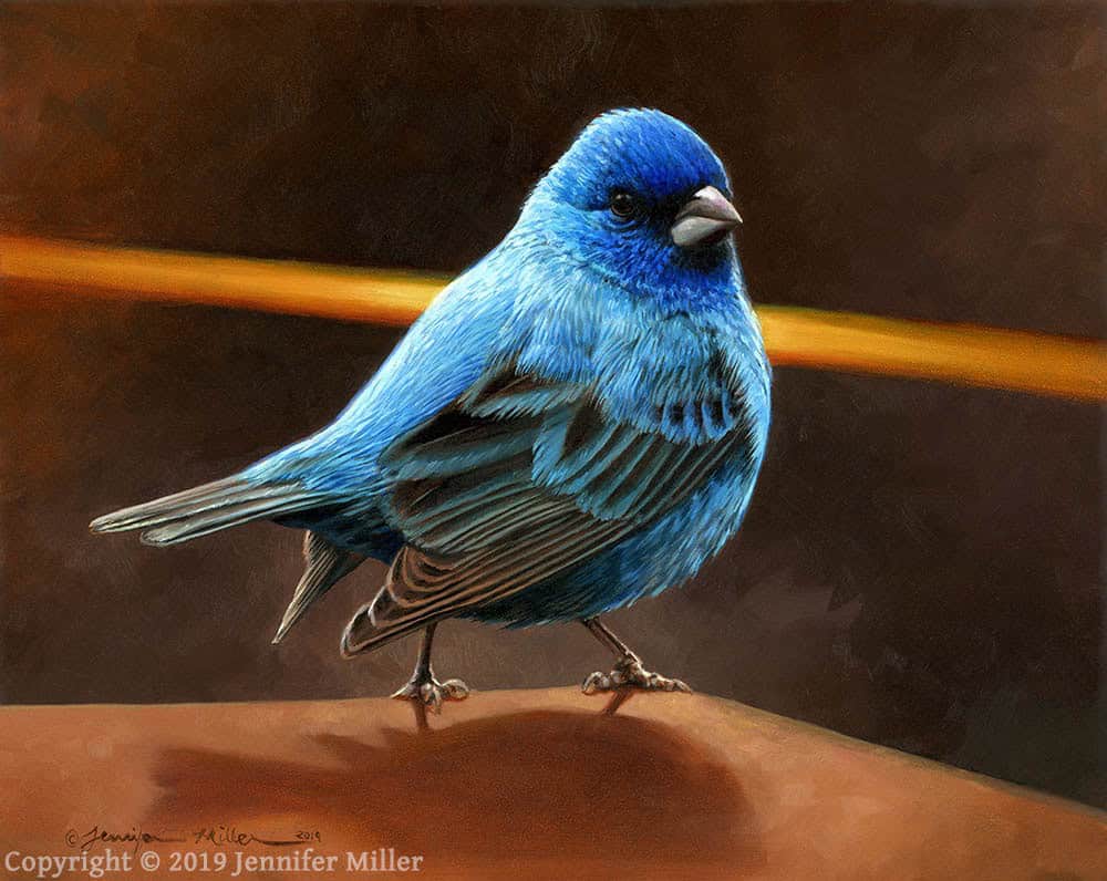 Jennifer Miller "There He Is!" (Indigo Bunting) 8x10 oil $850. SOLD