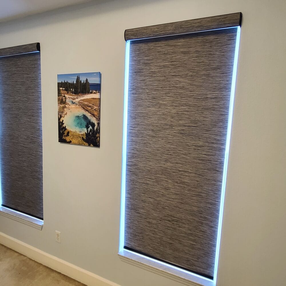Cordless Blackout Roller Shades in Celebration