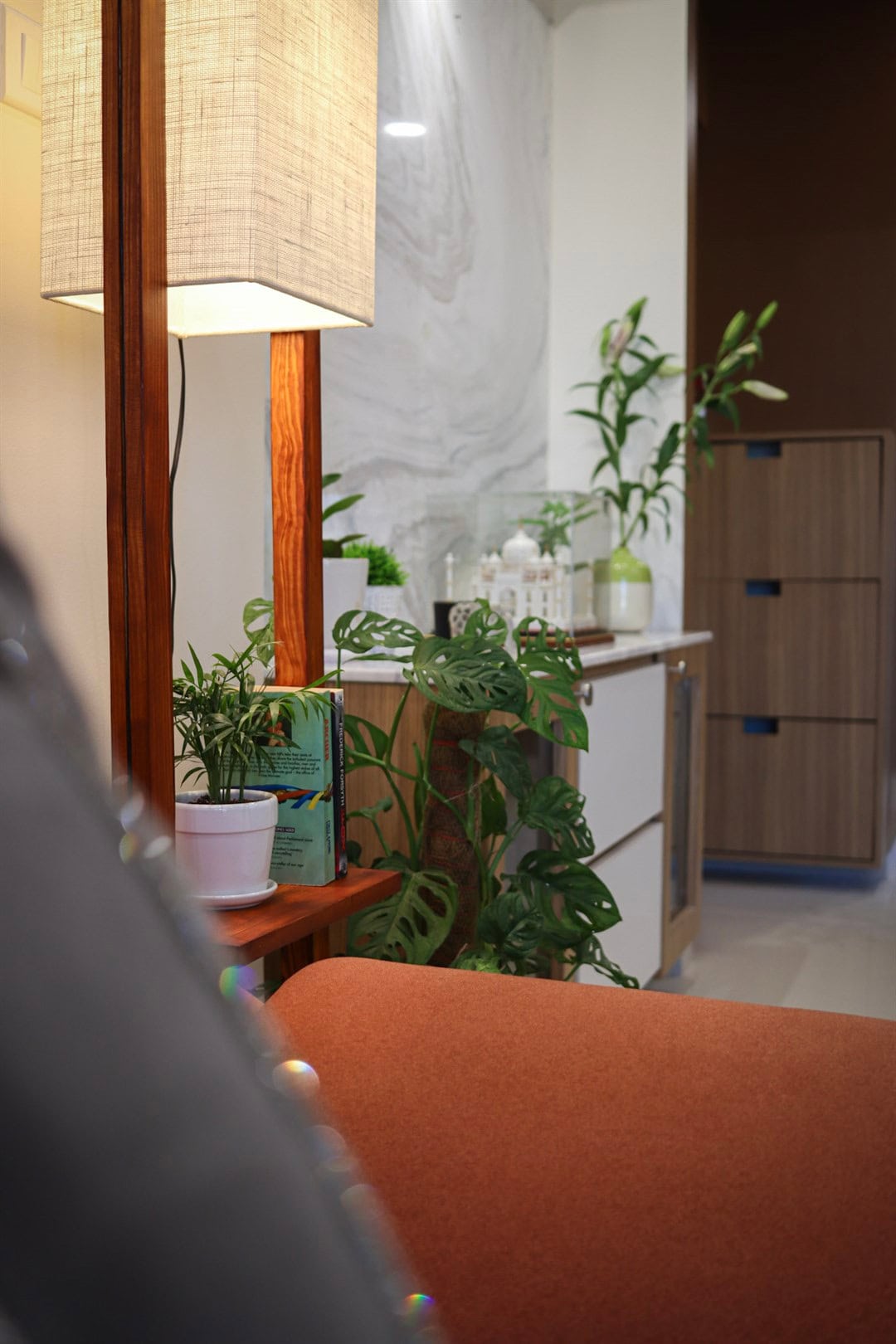 21-20240209163854_IMG_5244 a room with a lamp and plants
