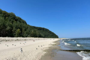 Einsame Strandabschnitte im Seebad Kölpinsee unterhalb des Streckelsberges