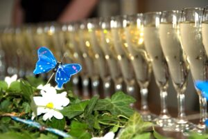 Champagne flutes on a table with a blue butterfly, green leaves, and white flowers.