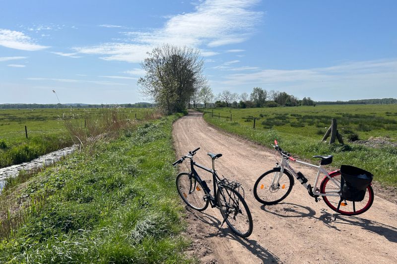 Fahrräder auf dem Deich der Insel Usedom bei Pudagla