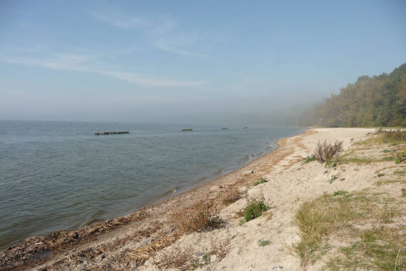 Strand am Stettiner Haff von Kamminke