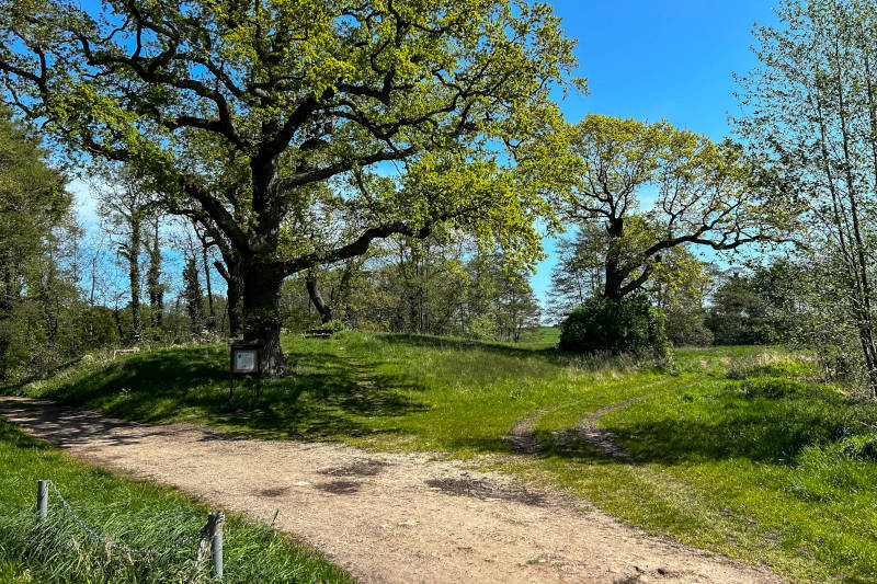 Wanderweg im Mellenthiner Os