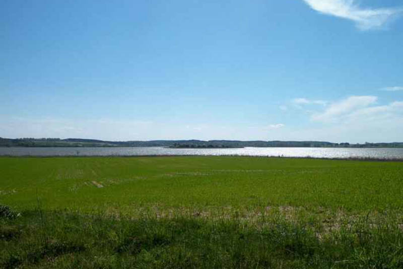 Wiesenglück am Achterwasser auf dem Lieper Winkel