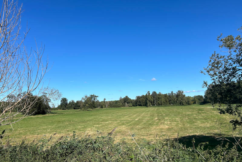 Wiesenlandschaft in der Umgebung der Usedom Ferienwohnungen Tannengrund