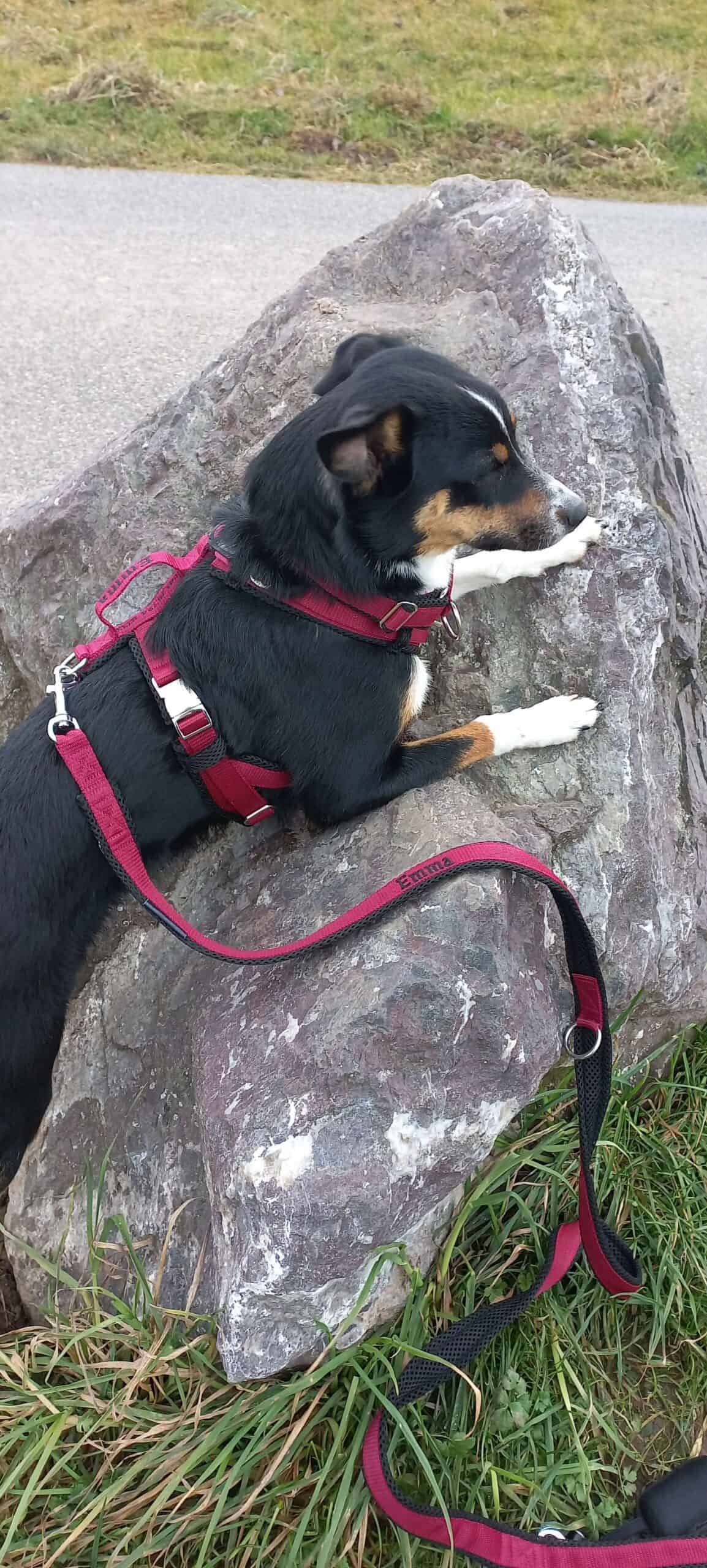 Emma2 scaled