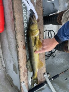 Person measuring a large fish on a ruler inside a boat, with fishing gear visible.