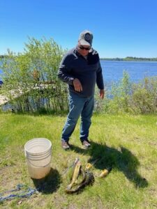 Man standing on grass by lake with fish on ground and a white bucket nearby under clear sky.