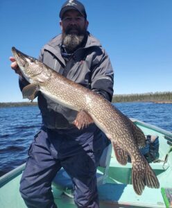 Person in boat holds large northern pike, with lake and forest in background under blue sky.