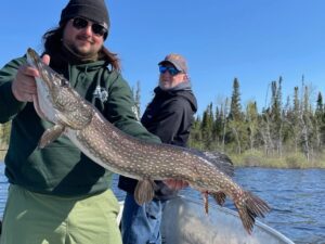 Two people on a boat holding a large fish, forest shoreline and clear sky in the background.