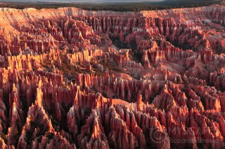 Bryce Canyon - USA