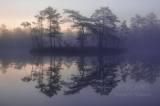 Knuthojdsmossen - Sweden