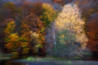 Soderasen N.P. - Sweden - Double Exposure