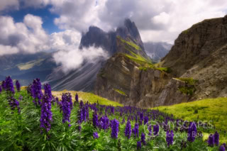 Odle peaks from Mt. Seceda - Italy