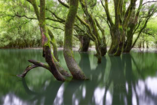 Santa Croce lake - Italy