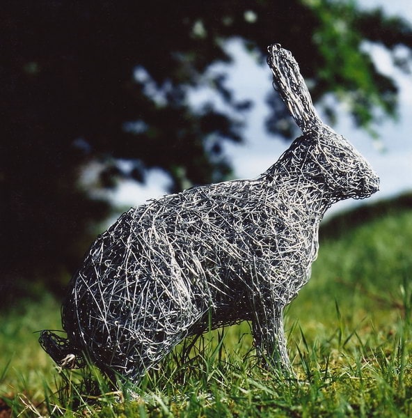 6. wire rabbit in focus 6. wire rabbit in focus