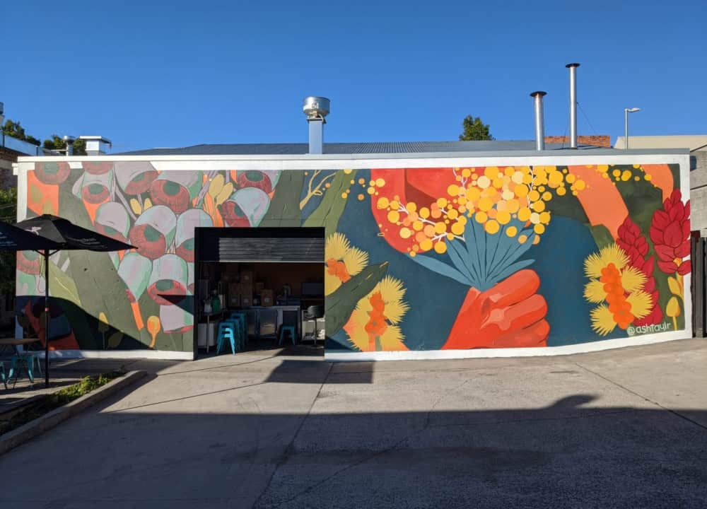 Ash Taylor for Brisbane Street Art Festival 2020 (BSAF 2020)