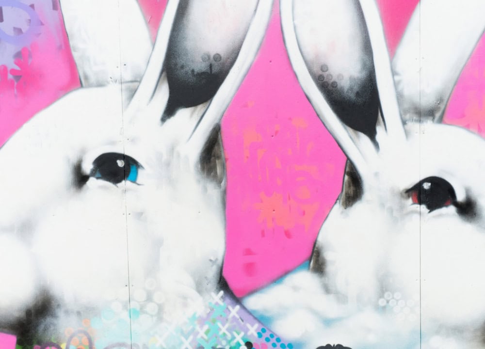 Lucks for Brisbane Street Art Festival 2019 (BSAF 2019)