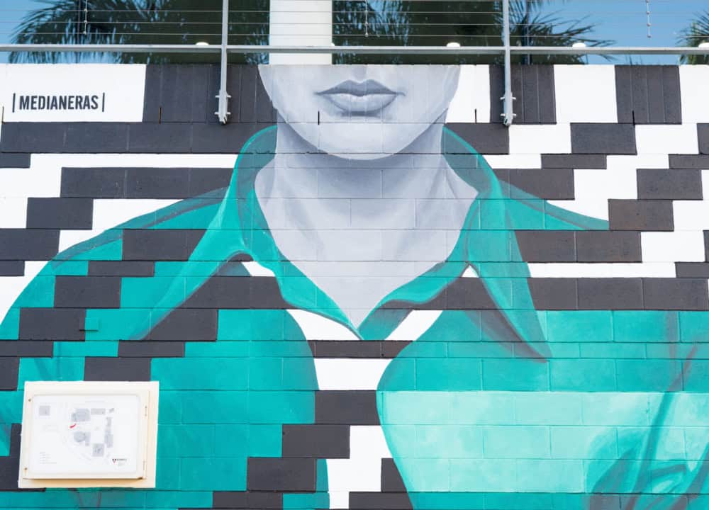 Medianeras for Brisbane Street Art Festival 2019 (BSAF 2019)
