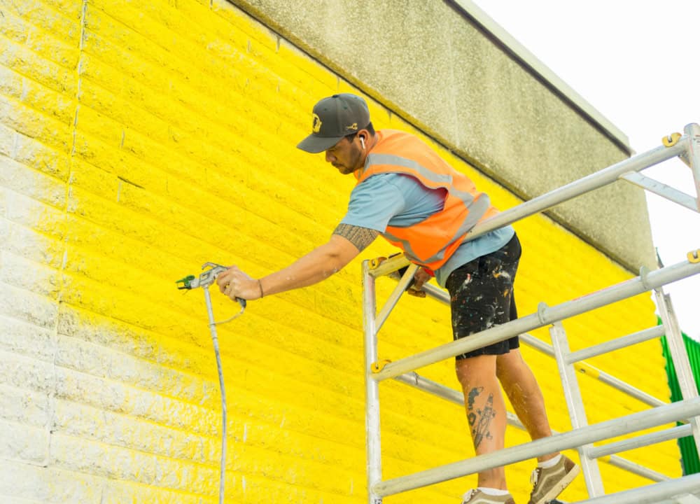 Hafleg for Brisbane Street Art Festival 2019 (BSAF 2019)