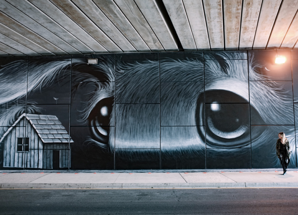 Hayley Welsh for Brisbane Street Art Festival 2019 (BSAF 2019)