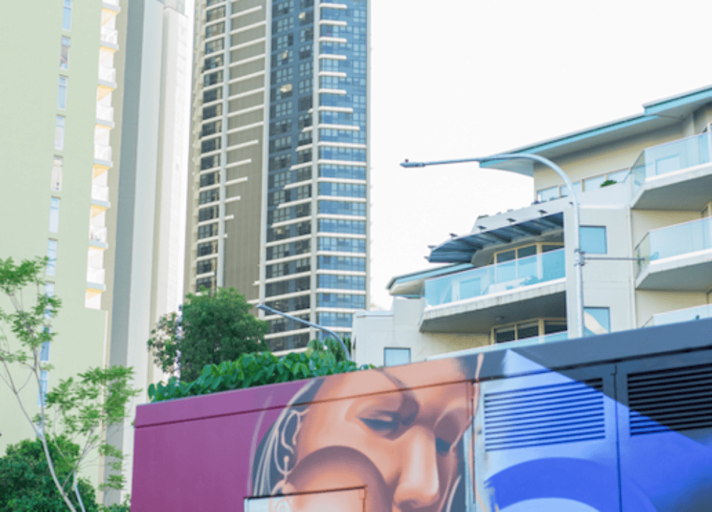 Zurik for Brisbane Street Art Festival 2019 (BSAF 2019)