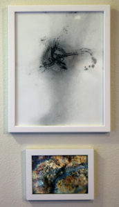 Untitled COSMOS II