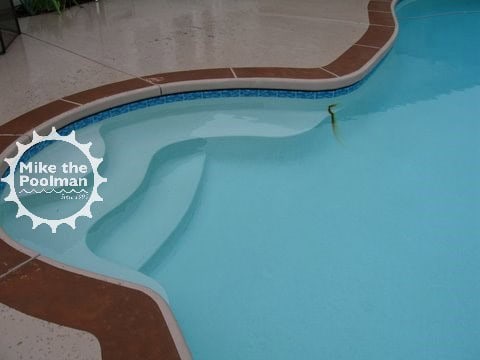 Pool-Rebar-01