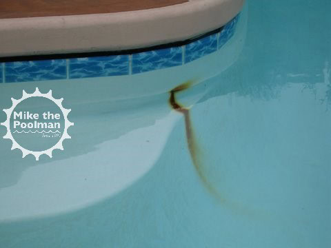 Pool-Rebar-02