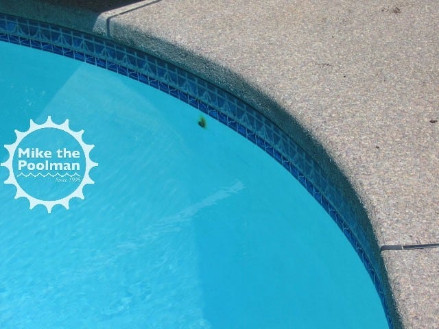 Pool-Rebar-10