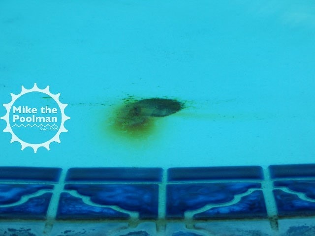 Pool-Rebar-11