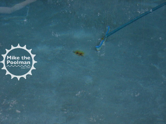 Pool-Rebar-12