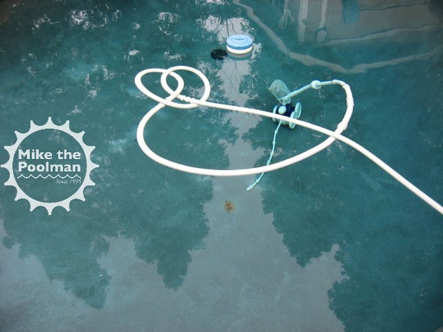 Pool-Rebar-13