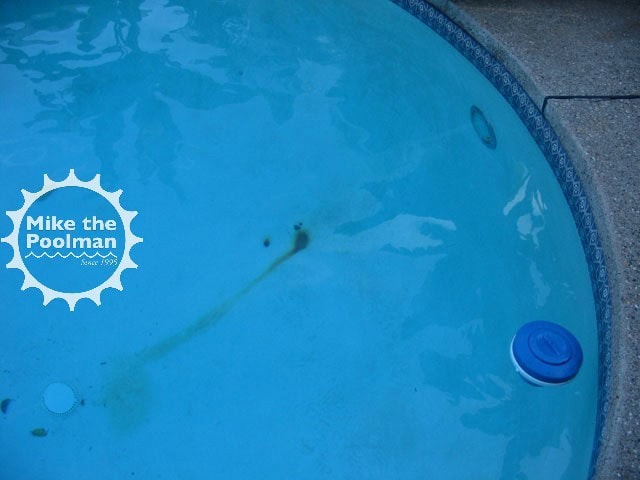 Pool-Rebar-14